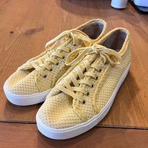 Sam Edelman womens Elena knit sneakers honeydew 8.5